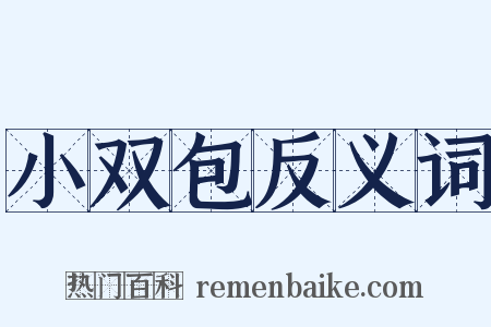 小双包反义词是什么意思的图片